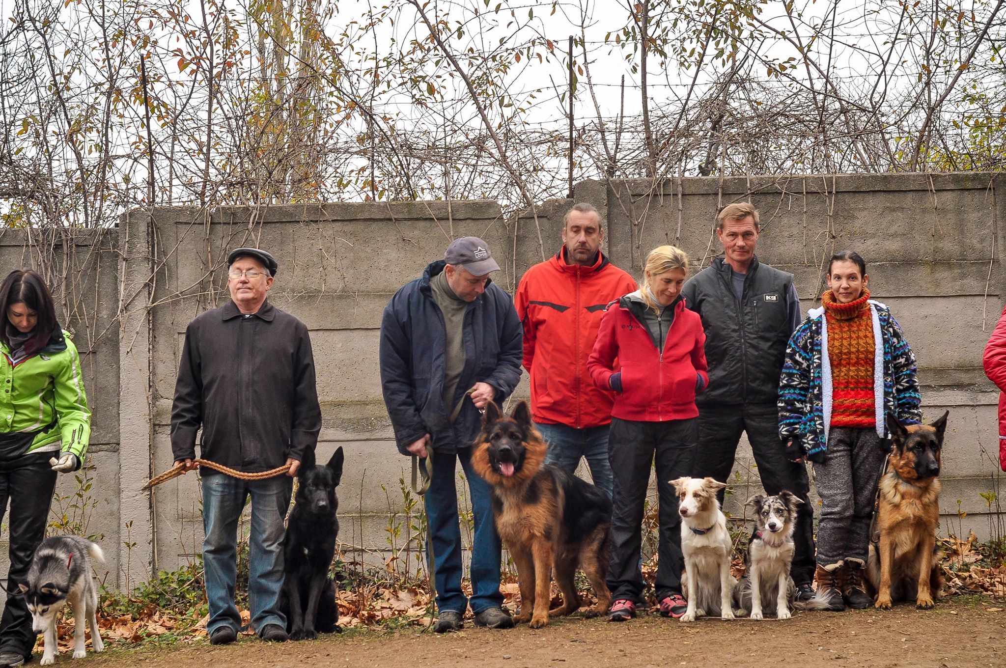  дрессировки_Севастополь_18.11.18г_1.jpg